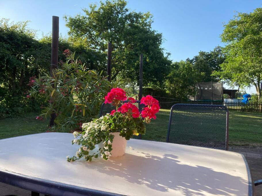 Helle Wohnung Mit Wintergarten - Nahe Ruhrgebiet Und Freizeitpark Movie Park Ботроп Екстериор снимка